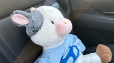 Hyundai TUCSON 1.6 TGDi Ultimate 5dr 2WD Petrol Estate